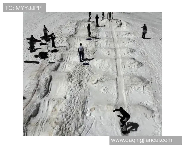 德国与奥地利实时对决精彩回顾与分析